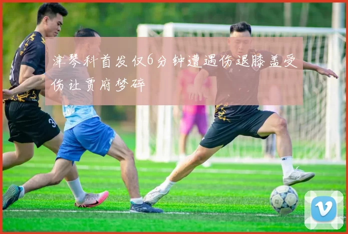 津琴科首发仅6分钟遭遇伤退膝盖受伤让贾府梦碎